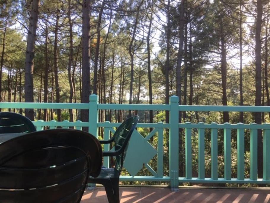Apt T2 Calme Sur Golf, Piscine, Ocean 10 Min En Velo ラカノー エクステリア 写真